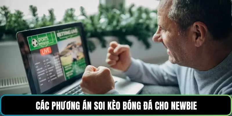 Các phương án soi kèo bóng đá cho newbie