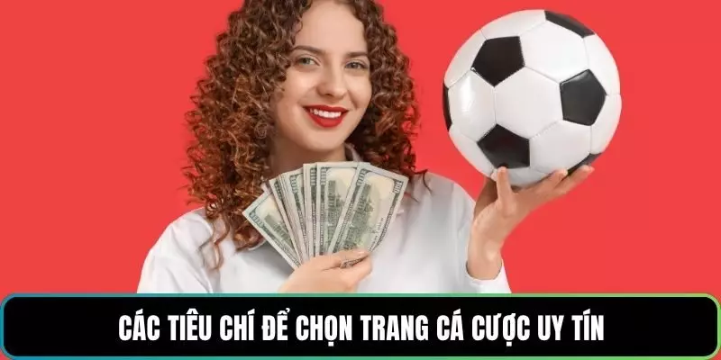 Các tiêu chí để chọn trang cá cược uy tín