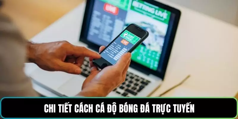 Chi tiết cách cá độ bóng đá trực tuyến