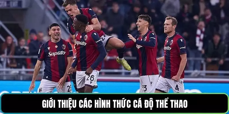 Giới thiệu các hình thức cá độ thể thao