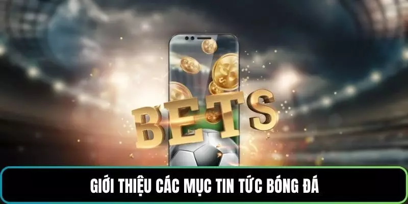 Giới thiệu các mục tin tức bóng đá