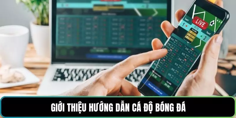 Giới thiệu hướng dẫn cá độ bóng đá
