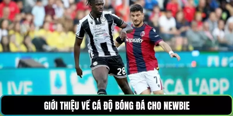 Giới thiệu về cá độ bóng đá cho newbie