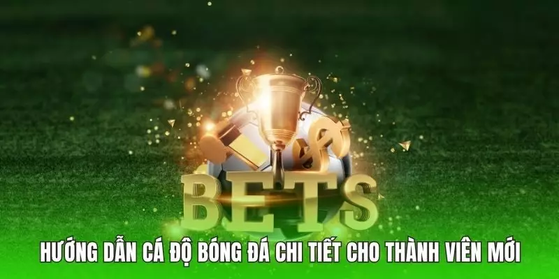Hướng dẫn cá độ bóng đá